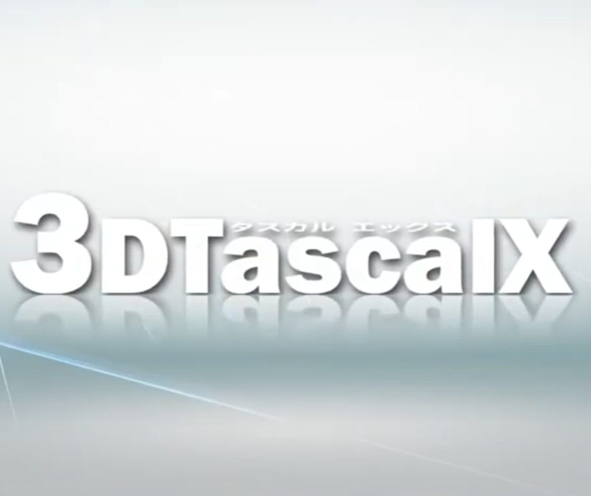 3DTascalX V11（スリーディ タスカル エックス）