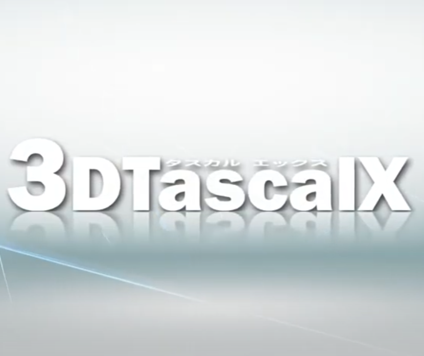 3DTascalX V11ʥ꡼ǥ  å